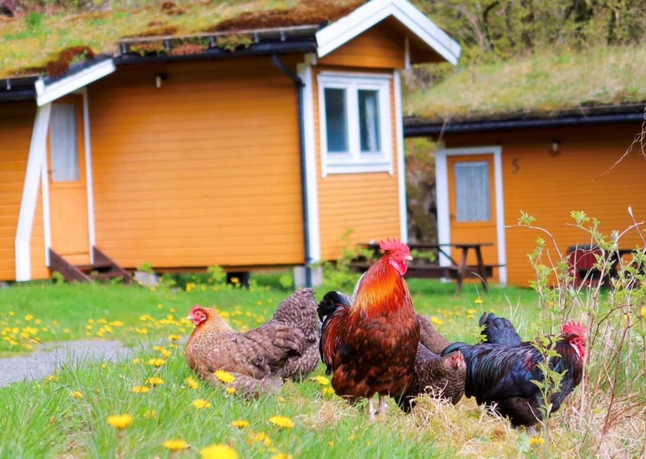Fosseland Gjestegård Feda Eksteriør bilde